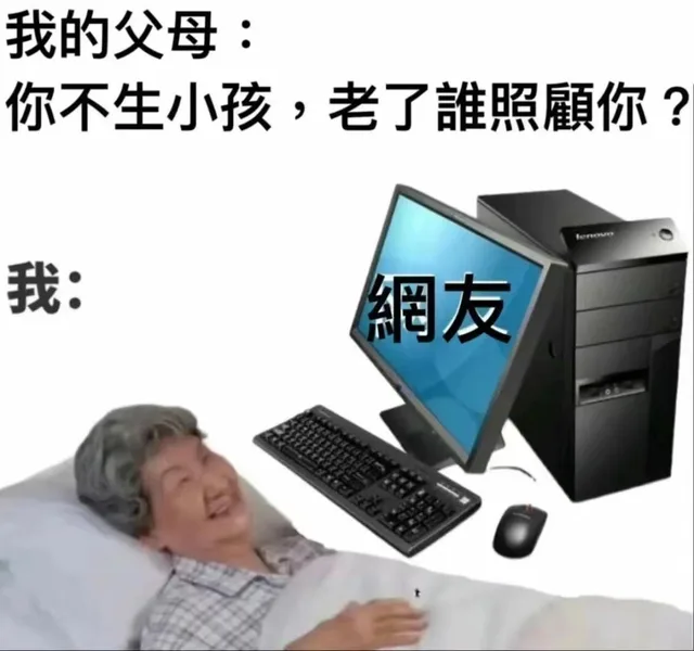 我的父母：你不生小孩，老了誰照顧你？我：網友（我的父母：你不生小孩，老了誰照顧你？我：網友）