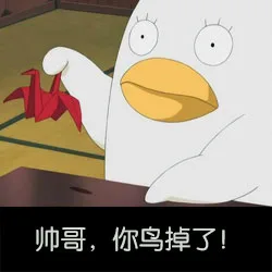 帅哥，你鸟掉了