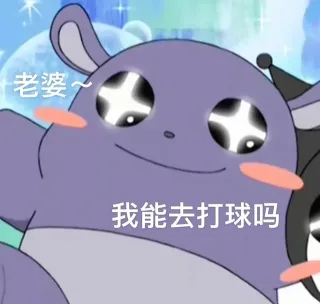 老婆我能去打球吗