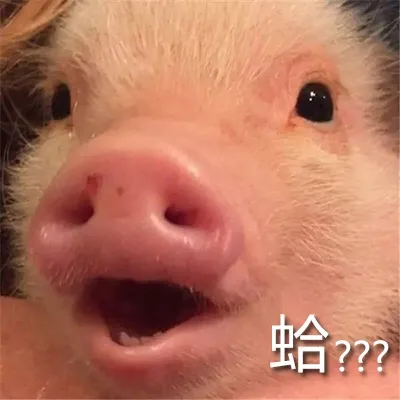 蛤？？
