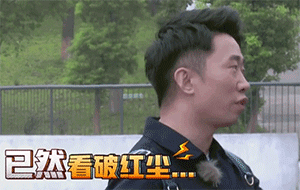 已然看破红尘（已然看破红尘）