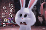 告诉我这不是真的（告诉我这不是真的）