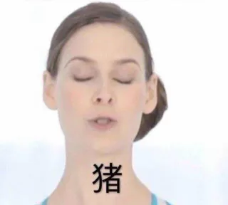 猪猪