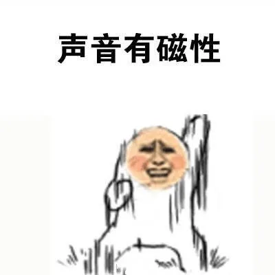 声音有磁性