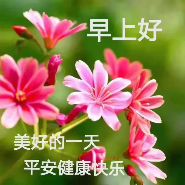 早上好美好的一天平安健康快乐（早上好美好的一天平安健康快乐）