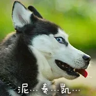 单身狗恶搞表情_单身狗表情包