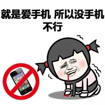 就是爱手机 所以没手机不行（就是爱手机 所以没手机不行）