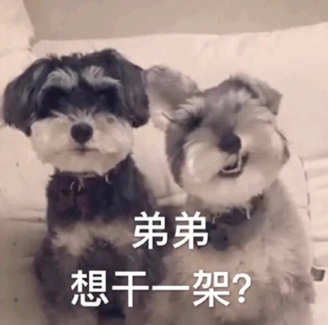 弟弟，想干一架？（弟弟，想干一架？）