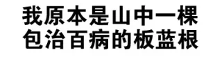 我原本是山中一棵包治百病的板蓝根