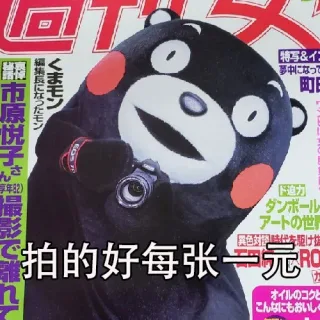 拍得好每张一元
