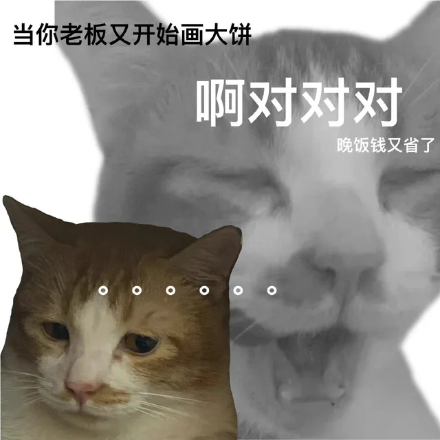 当你老板又开始画大饼啊对对对晚饭钱又省了（当你老板又开始画大饼啊对对对晚饭钱又省了）