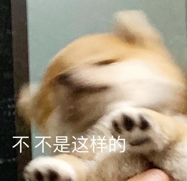 不不是这样的