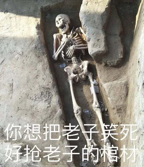 你想把老子笑好抢老子的信材（你想把老子笑好抢老子的信材）
