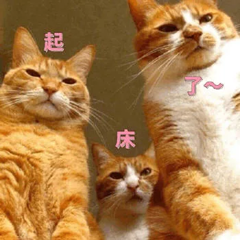 起床了