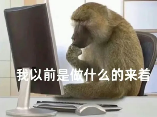 我以前是做什么的来着（我以前是做什么的来着）
