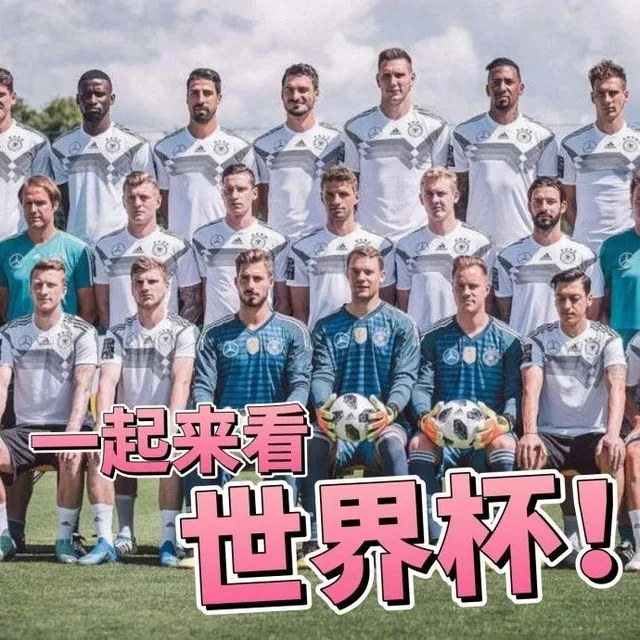 （伪球迷世界杯指南之德甲版 _世界杯）