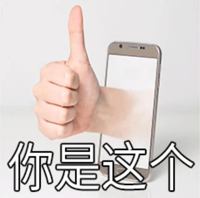 你是这个