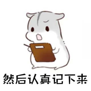 然后认真记下来