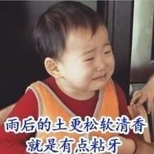 雨后的土更松软清香 就是有点粘牙