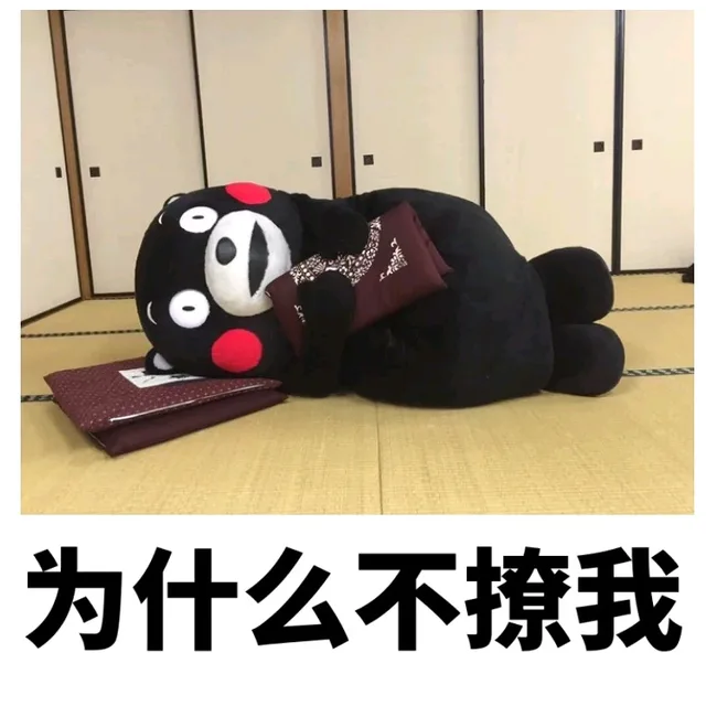 为什么不撩我