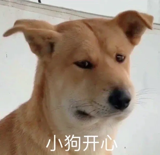 小狗开心（小狗开心）