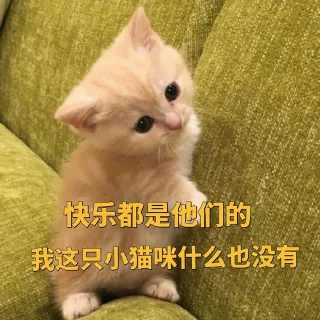 快乐都是他们的我这只小猫咪什么也没有