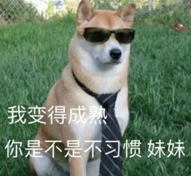 我变得成熟你是不是不习惯妹妹（我变得成熟你是不是不习惯妹妹）