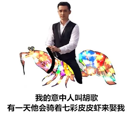 我的意中人叫胡歌，有一天他会骑着七彩皮皮虾来娶我