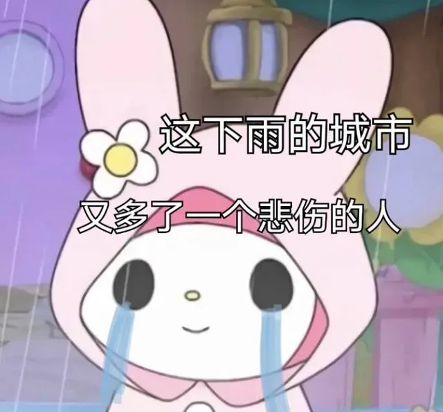 这下雨的城市文多了一个悲伤的人（这下雨的城市文多了一个悲伤的人）