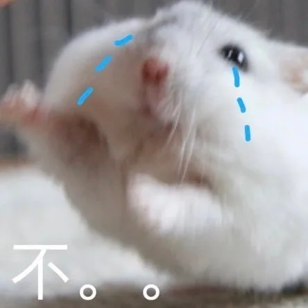 不。。（不。。）