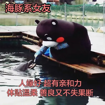 海豚系女友人缘好超有亲和力体贴温柔善良又不失果断（海豚系女友人缘好超有亲和力体贴温柔善良又不失果断）