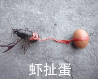 虾扯蛋（瞎扯淡）