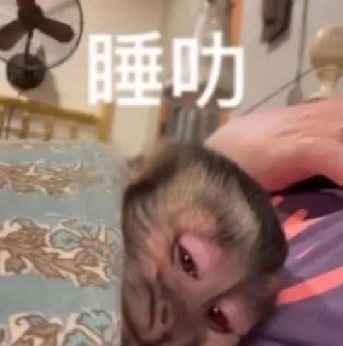 睡叻（睡叻）