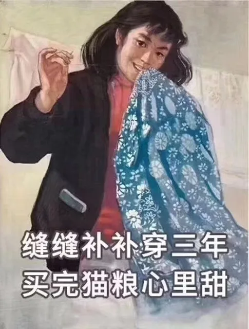 缝缝补补穿三年 买完猫粮心里甜（缝缝补补穿三年 买完猫粮心里甜）