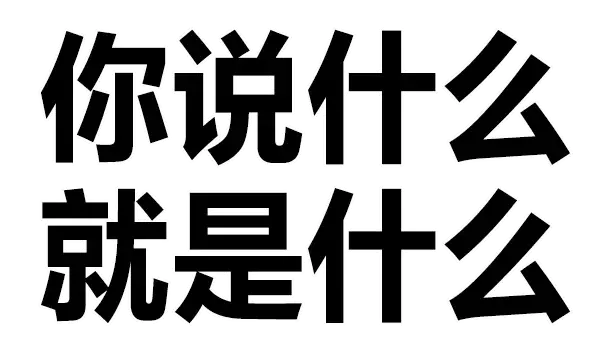 你说什么就是什么（你说什么就是什么）