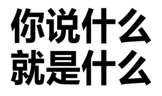 你说什么就是什么