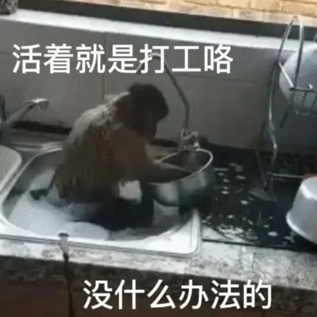 活着就是打工咯没什么办法的（活着就是打工咯没什么办法的）