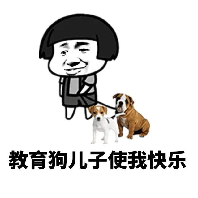 教育狗儿子使我快乐