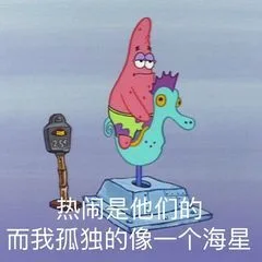 热闹是他们的而我孤独的像一个海星（热闹是他们的而我孤独的像一个海星）