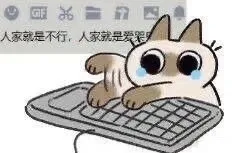 人家就是不行 人家就是爱哭（人家就是不行 人家就是爱哭）