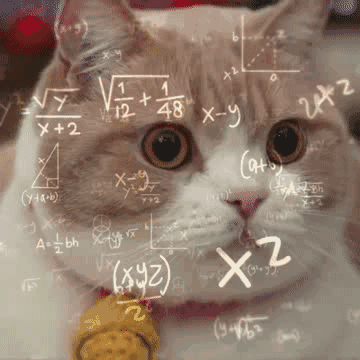 猫猫大脑飞速运转动图表情包 数学公式（猫猫大脑飞速运转动图表情包 数学公式）