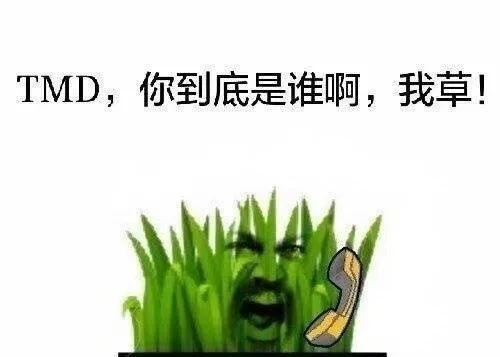 TMD，你到底是谁啊，我草！