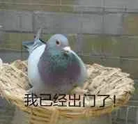 我已经出门了