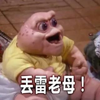 丢雷老母!