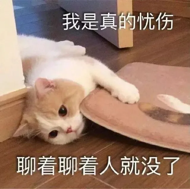 我是真的忧伤聊着聊着人就没了
