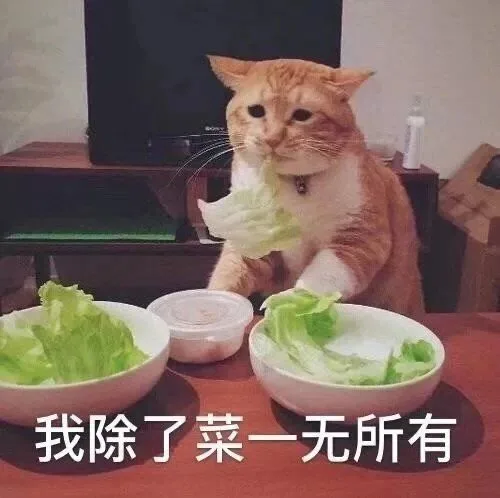 我除了菜一无所有（我除了菜一无所有）
