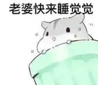 老婆快来睡觉觉，我已经帮你暖好床了