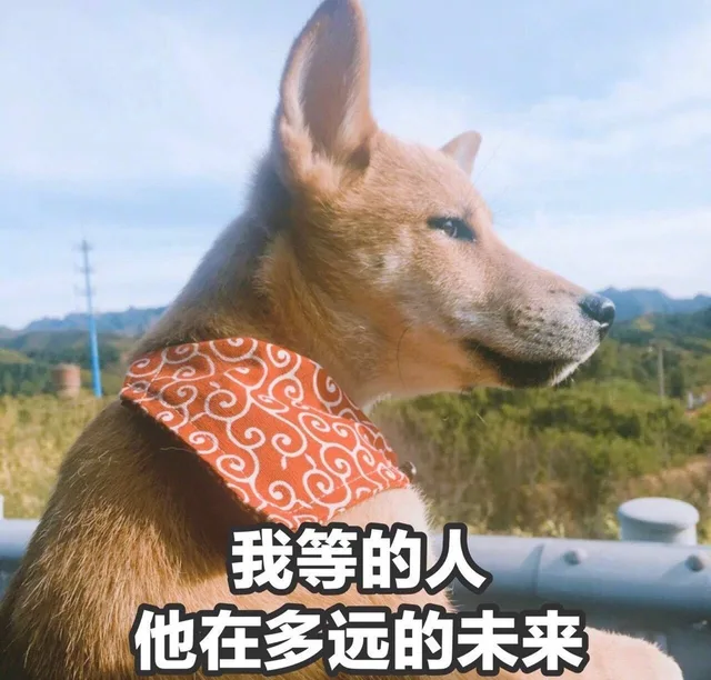 我等的人，他在多远的未来（我等的人，他在多远的未来）