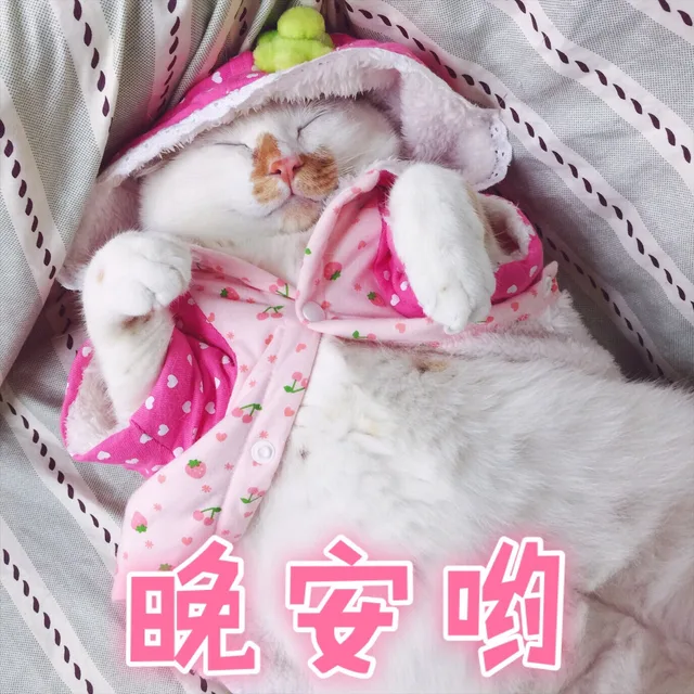 0哟（0哟）