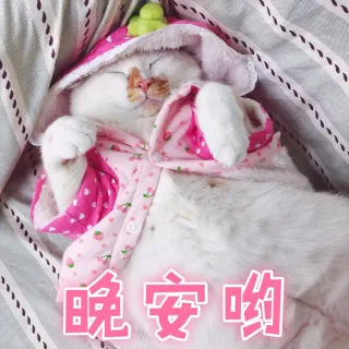 0哟